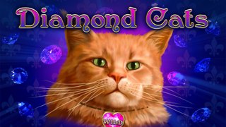 Diamond cats
