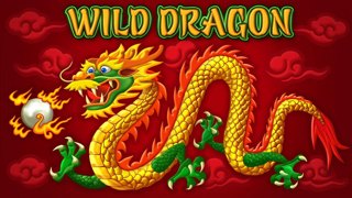 Wild Dragon