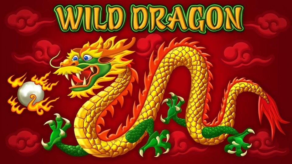 Wild Dragon